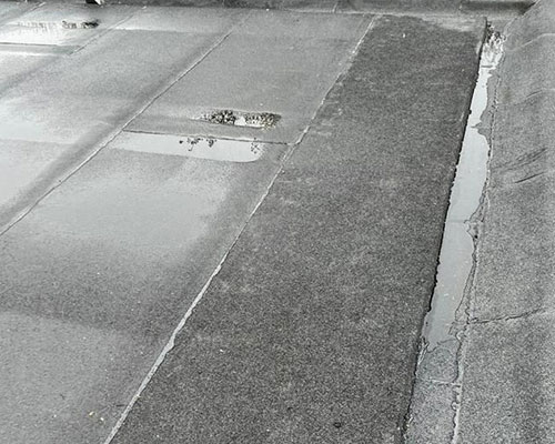 Daklekkage verhelpen Dordrecht