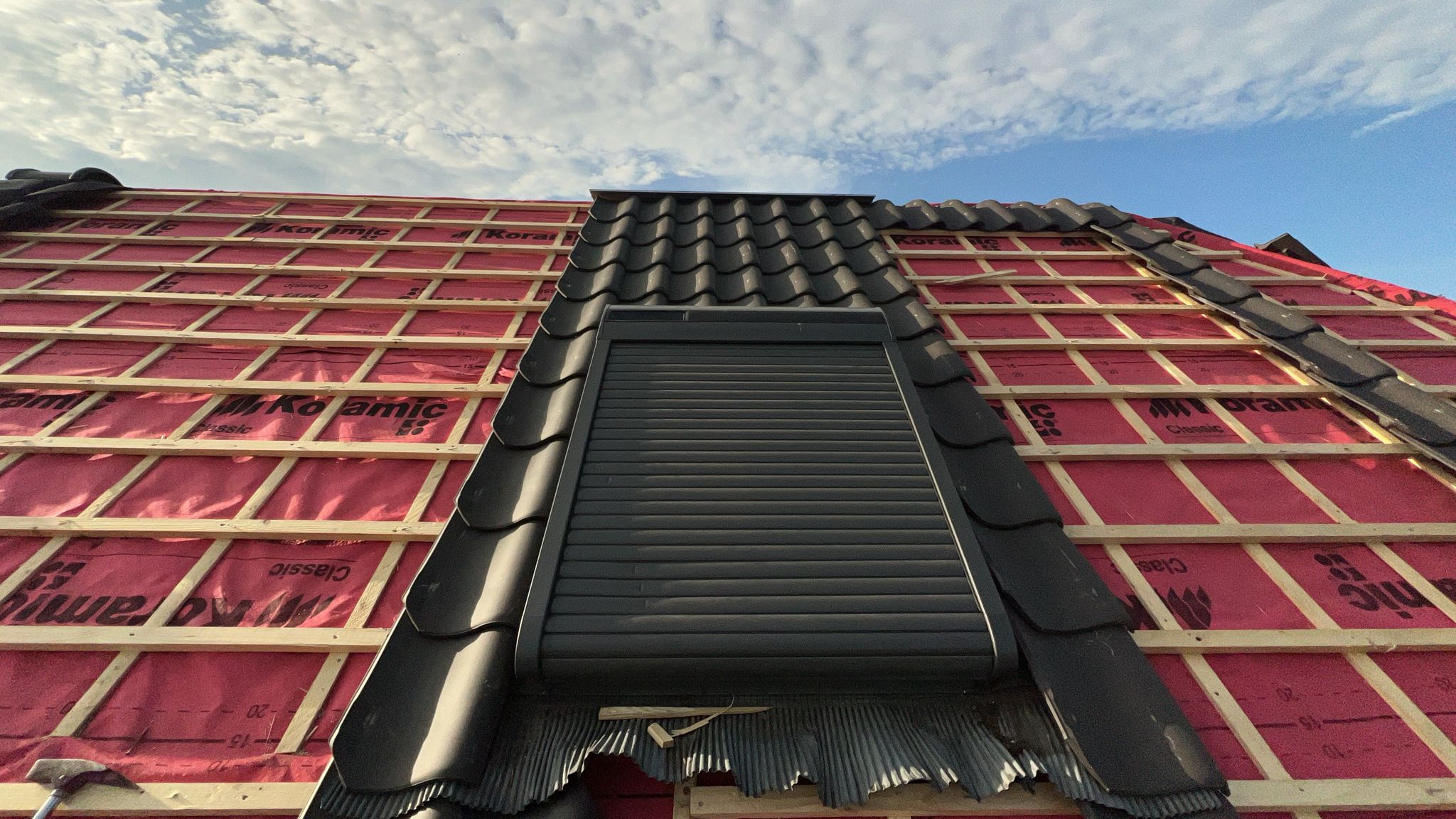 Inspecteren van het dakleer