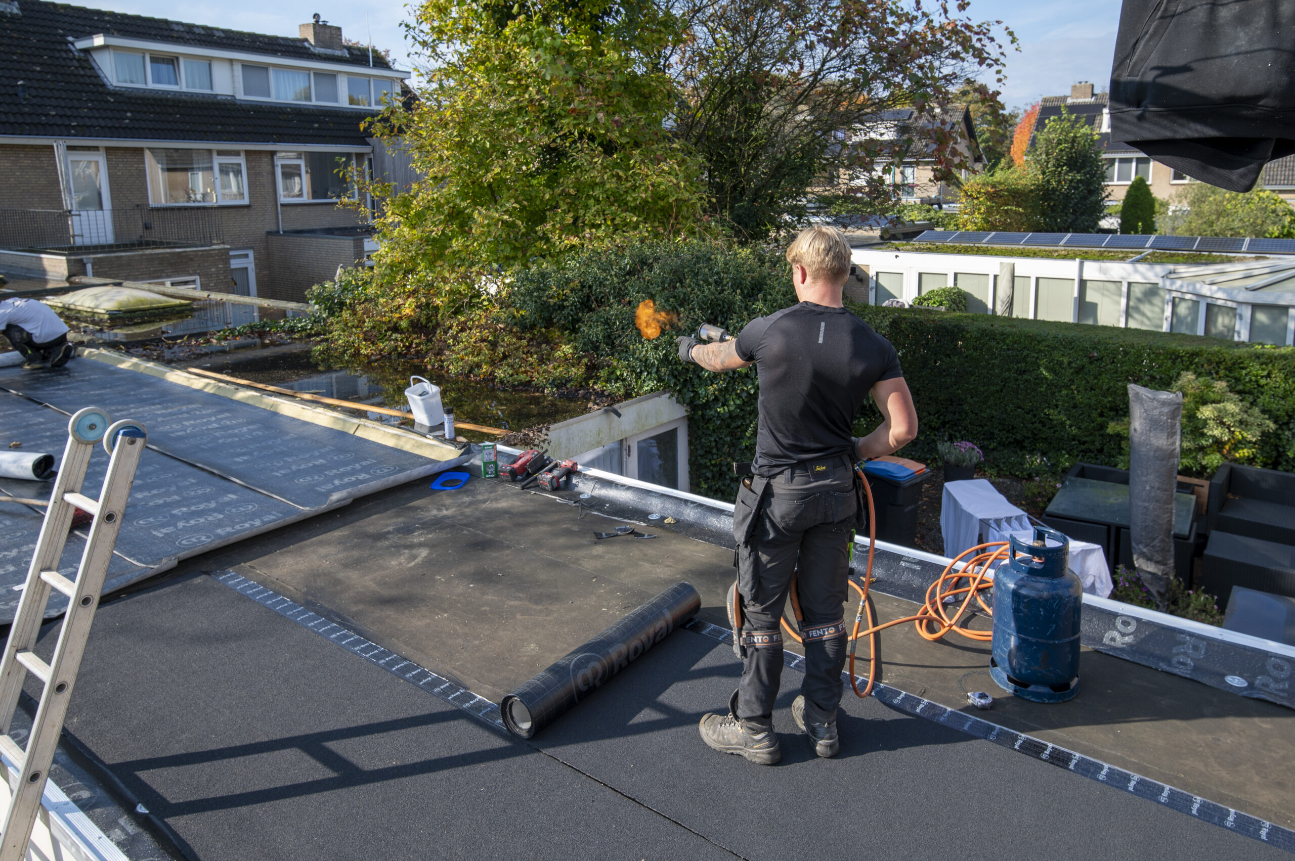 Plat dak bedekt met groendak